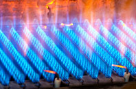 Arne gas fired boilers
